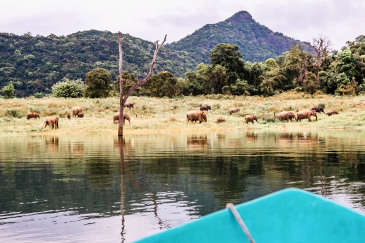 Boat Safari inside the Galoya National Park 